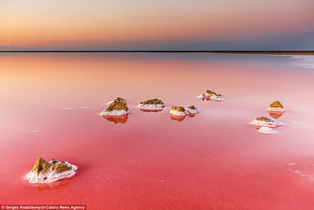 Koyashskoe Salt lake in Crimea. Magnificent pink lake view
