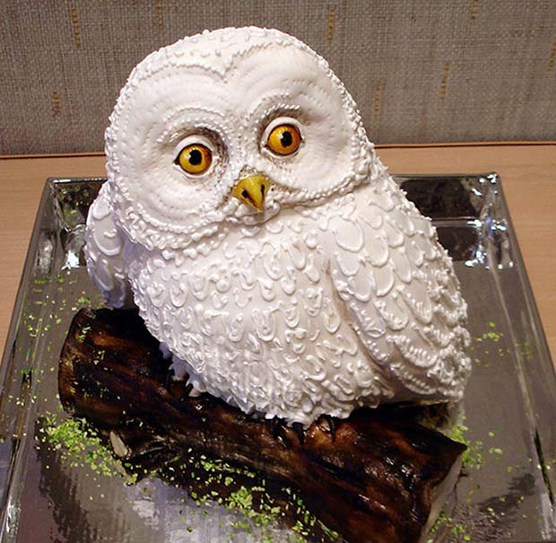 Awesome owl cake