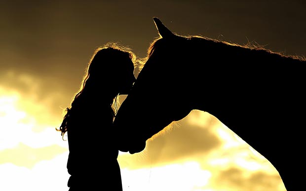 She kisses horse
