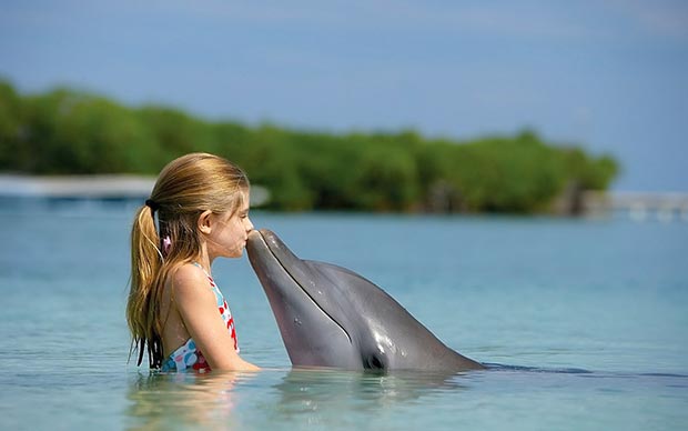 Girl kisses dolphin
