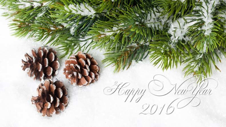 New Year Tree 2016 hd wallpaper