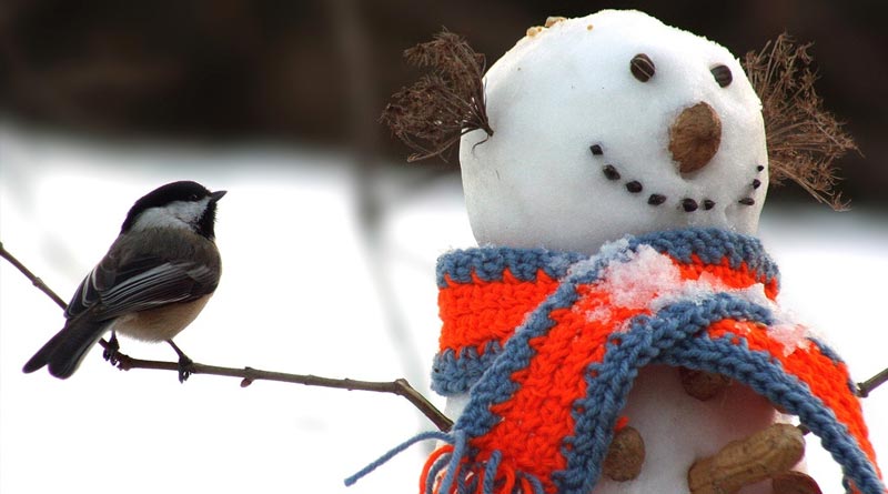 Positive snowman with bird