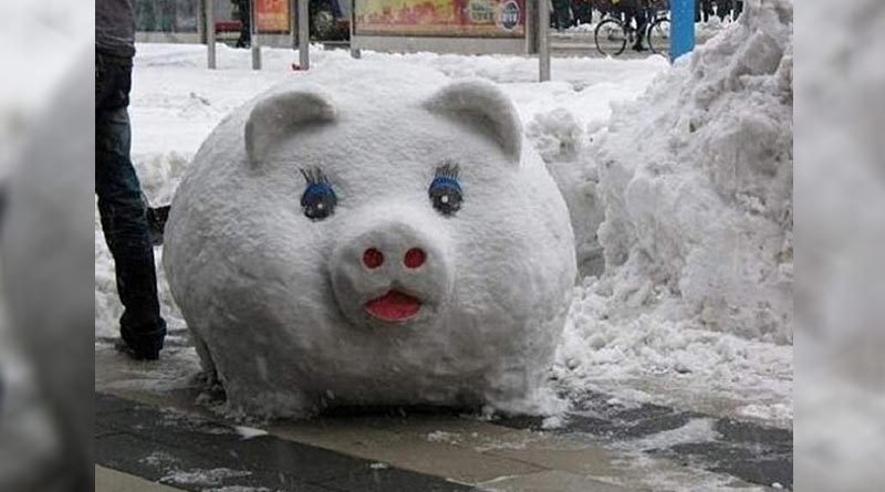 Positive snowman pig