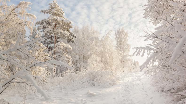 Beautiful Russian winter HD wallpapers