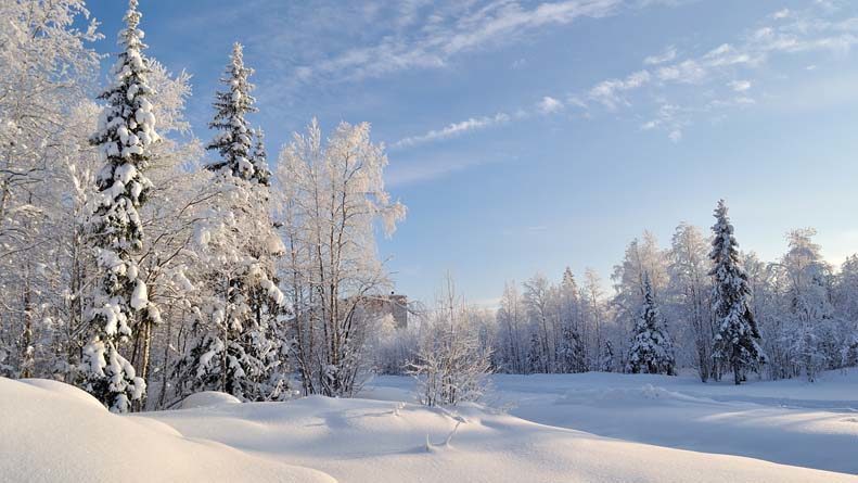 Beautiful Russian winter