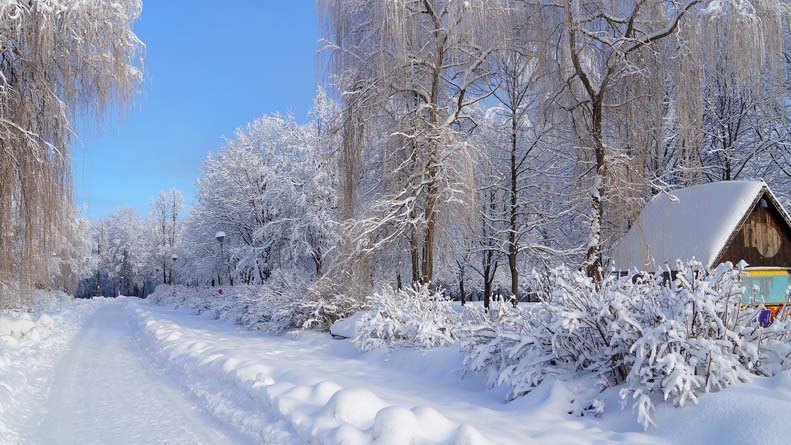 Stunning Russian winter