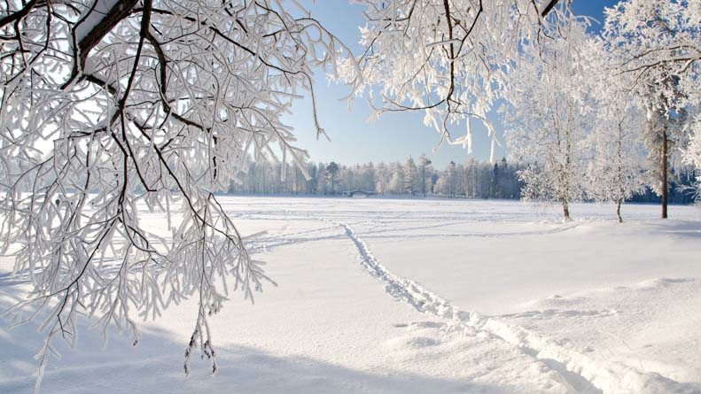 White snowy winter in Russia
