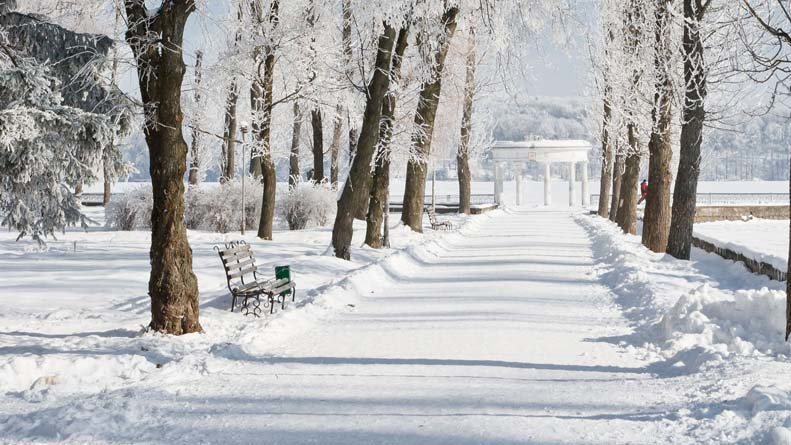 Winter alley in Russia
