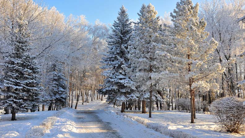 Snow way in Russia