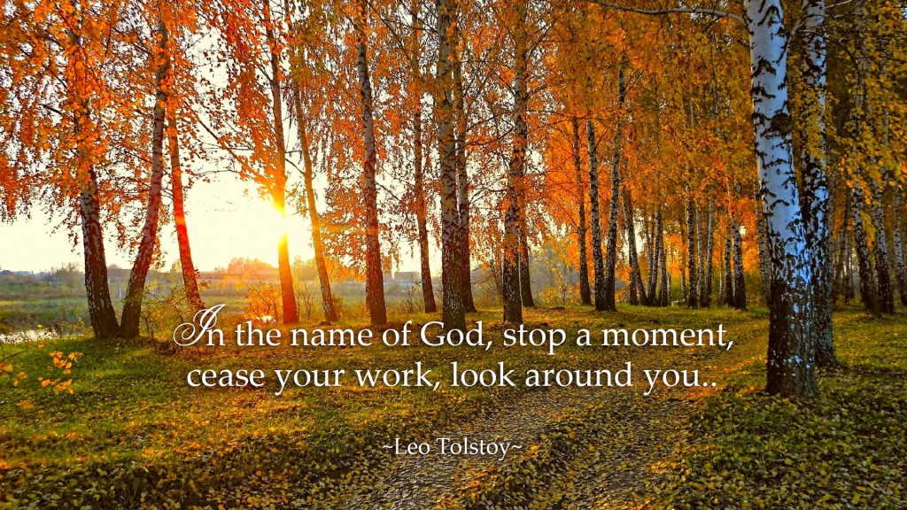 In the name of God, stop a moment, cease your work, look around you. ~Leo Tolstoy~