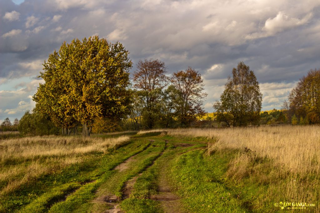 Along the river Volga. Autumn in Russia 2016