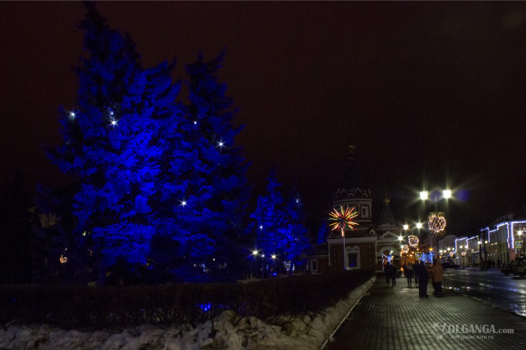 Rare blue pines are illuminated with blue light