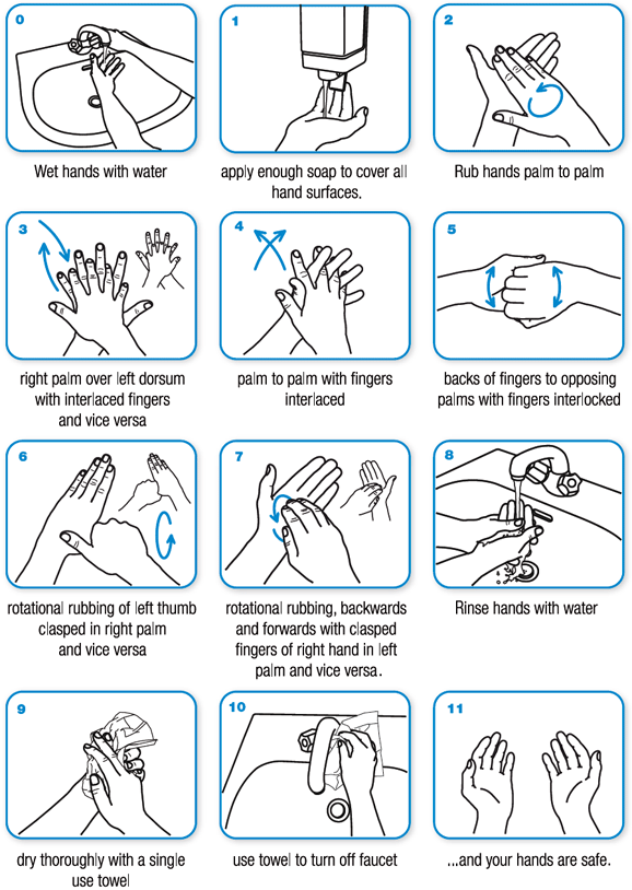 Wash hands properly