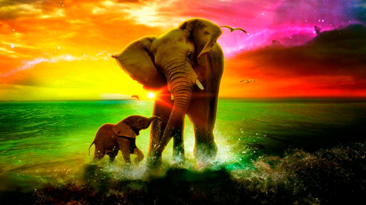 Mommy elephant and baby elephant in a rainbow sea