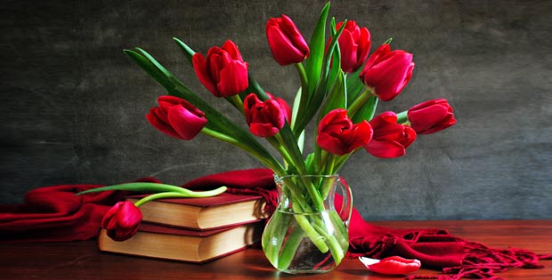 Tulips bouquets