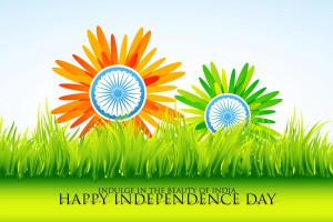 India's Independence Day hd wallpaper