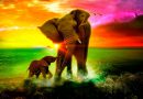 Mommy elephant and baby elephant in a rainbow sea